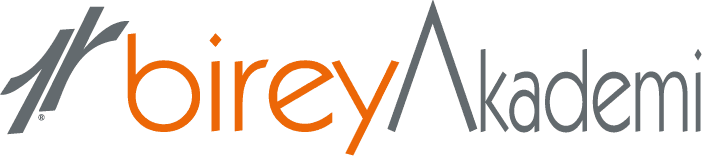 Birey Akademi