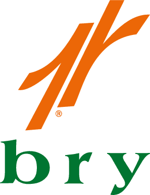 bry Yayınları